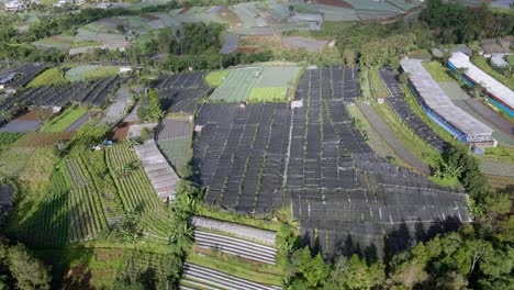 Aerial-view-indoor-farming