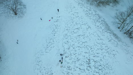 Family-pulls-sleds-up-along-hill-path-to-snow-covered-slope-on-forest-edge,-aerial
