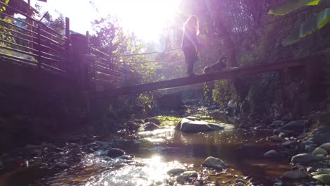 Fly-over-a-river-in-Hyrcanian-forest-wonderful-landscape-of-natural-woods-adventure-in-scenic-nature-walking-woman-on-old-rural-region-bridge-play-with-a-cute-dog-animal-in-Iran-dreamy-magical-sunset