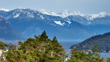 Weißkopfseeadler-Fliegt-über-Die-Bäume-Mit-Telekommunikationsturm-In-Horseshoe-Bay-In-British-Columbia,-Kanada