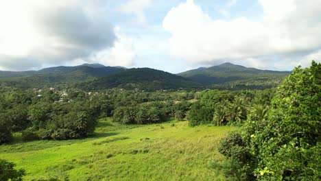 Grüne-Und-Lebendige-Wilde-Landschaft-Von-Guadeloupe,-Luftdrohnenansicht