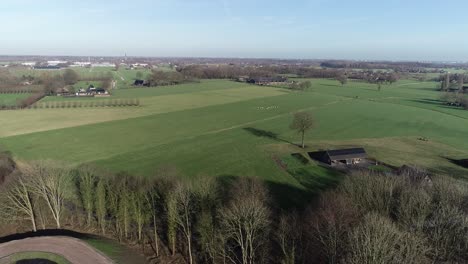 Aerial-drone-shot-of-Dutch-farmlands-and-sheep