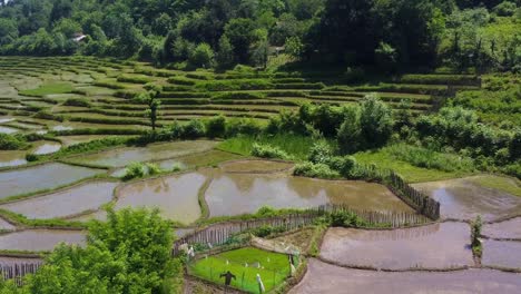 Iran-agriculture-nature-landscape-the-local-people-farmer-family-working-on-terraced-rice-paddy-farm-field-the-mud-pond-seedling-rice-produce-mountain-agriculture-product-food-in-forest-rural-village