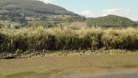 Pan-shot-along-Marshland-landscape-with-forested-hills-in-background,-Environment-concept
