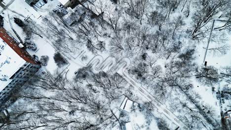 Birds-eye-view-with-drone,-stairs-towards-the-hill-in-the-middle-of-snowy-forest-on-a-winter-day
