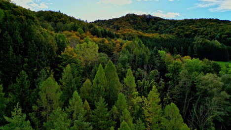Luftaufnahme-Der-Herbstbäume-In-Einem-Dichten-Waldstück,-Schwenk-Von-Links-Nach-Rechts-In-Attersee,-Österreich