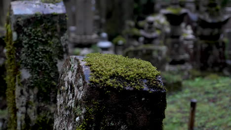 Escena-Tranquila-Que-Captura-Las-Lápidas-Cubiertas-De-Musgo-En-El-Cementerio-De-Okunoin-En-Koyasan,-Japón