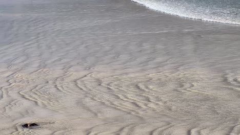 ripples-in-the-sand-on-beach