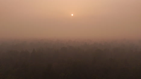 Drone-travels-into-the-wild-forest-smoky-foggy-weather-in-Terai-region-Nepal