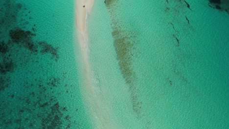 Clear-turquoise-waters-and-sandy-path-at-los-roques-archipelago,-venezuela,-serene-nature-scene,-aerial-view