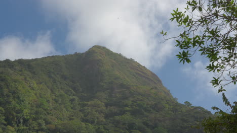 Tropical-mountain-peak-in-San-Carlos-with-lush-greenery-and-leafy-frame,-timelapse