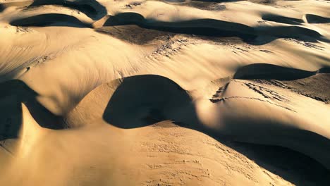 Undulating-sand-dunes-in-golden-light,-shadows-creating-contrast,-serene,-aerial-view