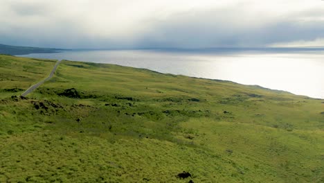 Car-drives-on-country-road-by-sea-in-green-Maui-landscape,-aerial-pan