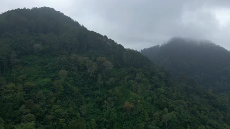 Aerial-view-of-rainforest-on-the-hillside-in-misty-morning