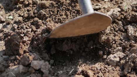 Steel-Hoe-Dig-on-Plain-Soil,-Close-Up