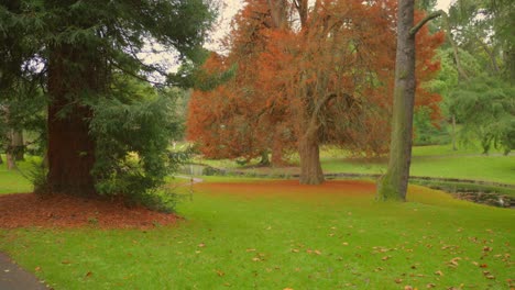 View-of-Botanic-Gardens-during-the-month-of-fall-in-Dublin,-Ireland-with-beautiful-landscape-at-background