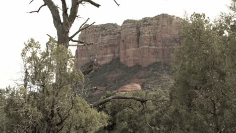 Red-rock-mountains,-buttes-and-trees-in-Sedona,-Arizona-with-video-tilting-up