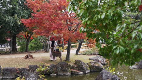 Autumn-scene-in-Nara,-Japan-with-a-female-tourist-interacting-with-a-deer,-colorful-trees-and-a-bridge-in-the-background
