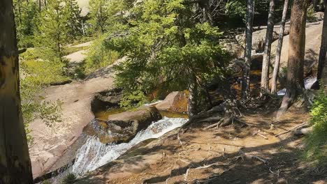 Peaceful-mountain-stream-flows-through-a-lush-green-forest,-Colorado,-USA