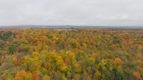 Ascending-Over-Multi-Color-Trees-During-Autumn-In-Quebec-Province,-Canada