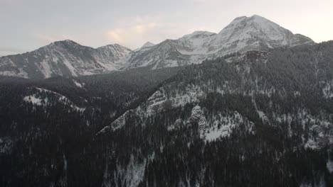 Snowy-Coniferous-Forest-And-Mountains-In-American-Fork-Canyon,-Utah---Aerial-Shot