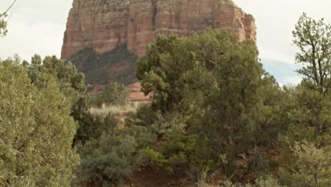 Red-rock-mountains,-buttes-and-trees-in-Sedona,-Arizona-with-video-slowly-tilting-up