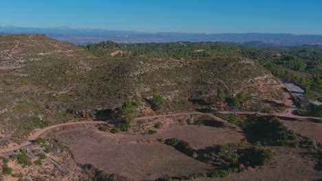 Drone-Shot-Of-Bosque-De-Las-Cruces
