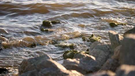 Sea-wavelets-gently-splashing-on-pebbles-and-stones-on-rocky-shore