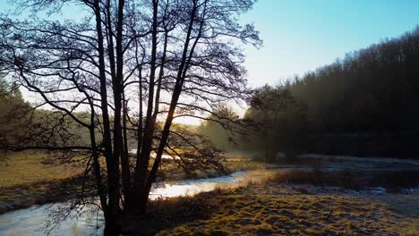 Sonnenaufgang-Leuchtet-Durch-Kahle-Bäume-An-Einem-Frostigen-Fluss