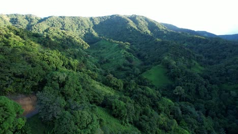 Bosque-Tropical-En-El-Paisaje-Montañoso-De-La-Isla-Caribeña-De-Guadalupe.