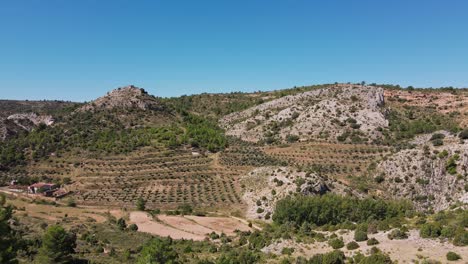 Aerial-dolly-in-of-Olive-tree-fields-in-hills,-Teruel,-Spain