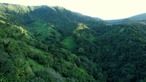 Mountain-covered-in-jungle-forest-in-Guadeloupe-island,-aerial-view