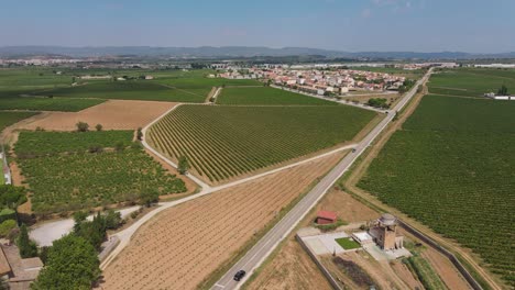 Penedes-vineyards-near-Barcelona,-Spain.-Aerial-forward-view