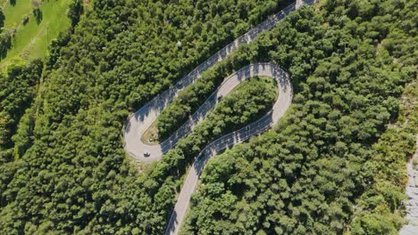 Winding-two-lane-road-in-middle-of-forest-near-Baga