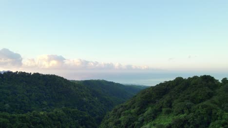 Bosque-Tropical-Y-Montañas-De-La-Isla-Caribeña-De-Guadalupe.