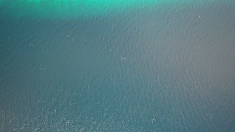 Los-Roques-Archipel-Mit-Leuchtend-Türkisfarbenem-Wasser,-Weißen-Sandstränden-Und-Spärlichem-Grün,-Luftaufnahme