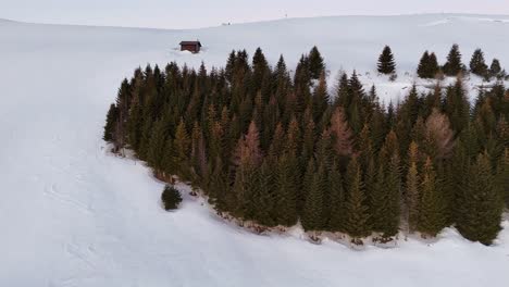 Snow-covered-landscape-with-isolated-trees-and-an-Alpine-hut-at-dusk,-aerial-view