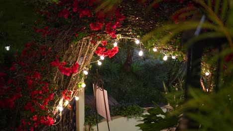 Bougainvillea-flowers-and-garland-of-lights-on-an-arched-entrance-to-a-house-at-night