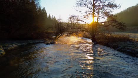 Das-Frühe-Licht-Der-Morgendämmerung-Spiegelt-Sich-Auf-Einem-Ruhigen-Waldfluss
