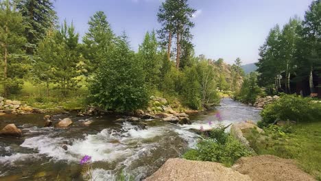 The-serene-beauty-of-Colorado-nature-featuring-the-flow-of-clear-water