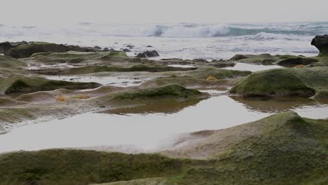 Calm-seascape-coast-scene-with-moss-rocks-and-sea-water-puddles-in-the-foreground-and-the-Atlantic-ocean-in-the-background-50fps-HD-Static-Shot