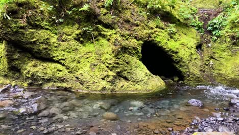 Nauthúsafoss-Rauschender-Fluss,-Der-In-Eine-Moosbedeckte-Felsige-Isländische-Höhlenhöhle-Fließt