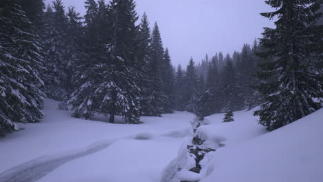 Paisaje-Invernal-En-Las-Montañas,-Nevadas-En-El-Valle-Con-Un-Río-De-Montaña-Casi-Tragado-Por-La-Gran-Nieve-Y-Altos-Abetos-Con-Nieve-En-Las-Ramas