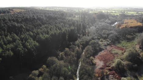 Luftflug-über-Waldgebiet-In-Blackdown-Hills,-Einem-Gebiet-Von-Außergewöhnlicher-Natürlicher-Schönheit-Südlich-Von-Otterford-In-Somerset