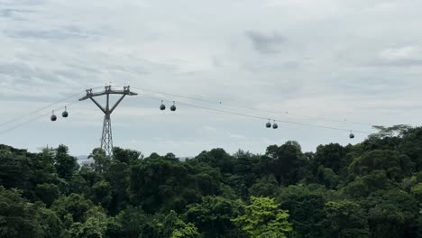 Cable-Cars-Above-Forest-Trees-In-Singapore