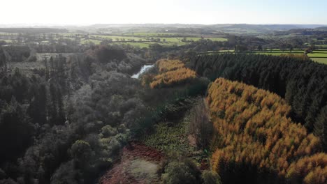 Aerial-View-Of-Woodland-Forest-Located-In-Blackdown-Hills-Area-of-Outstanding-Natural-Beauty-south-of-Otterford-in-Somerset