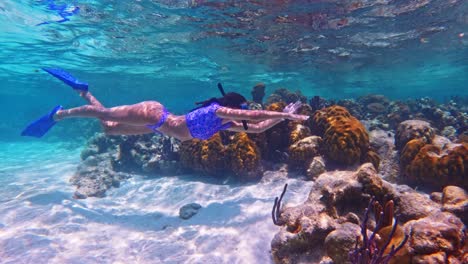 A-girl-snorkelling-through-a-coral-reef-past-fish-in-Caye-Caulker,-Belize