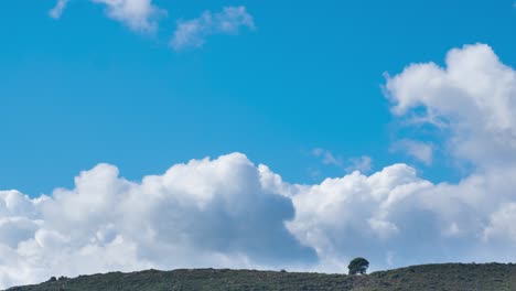 Zeitraffer-Eines-Baumes-Auf-Einem-Hügel-Mit-Gras-Vor-Einem-Blauen-Himmel-Mit-Wolken