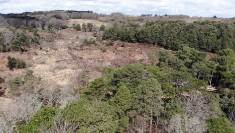 Aerial-Flying-Over-Heathland-At-Woodbury-Common