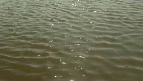 Gentle-ripples-on-a-calm-water-surface-with-sunlight-reflecting,-creating-a-serene-mood